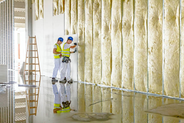 Best Garage Insulation Installation  in Bealeton, VA